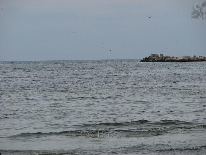 IMG_8189.JPG