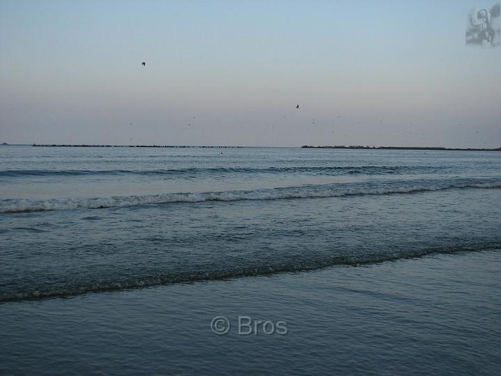IMG_8332.JPG