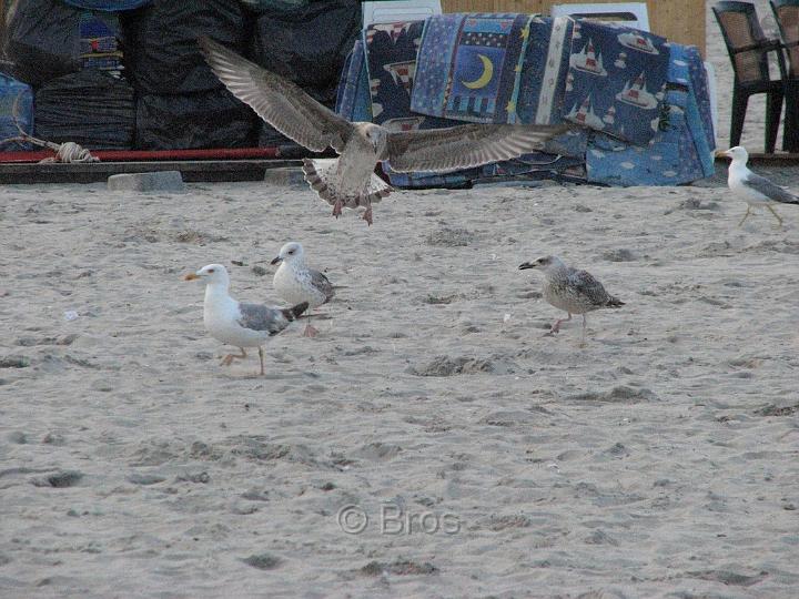 IMG_8362.JPG