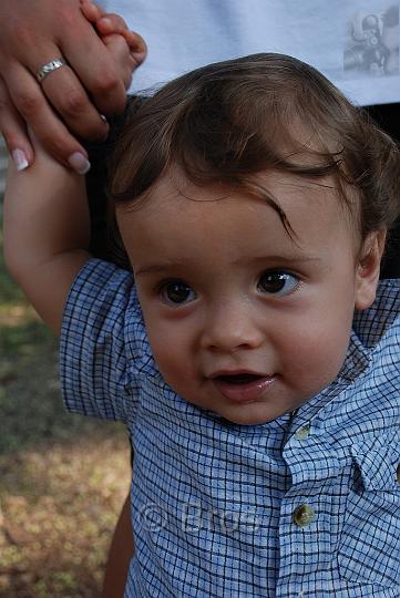 DSC_1956.JPG - Liviu Vulcu