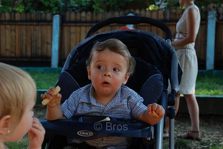 DSC_2006.JPG - Liviu Vulcu